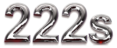 222s logo